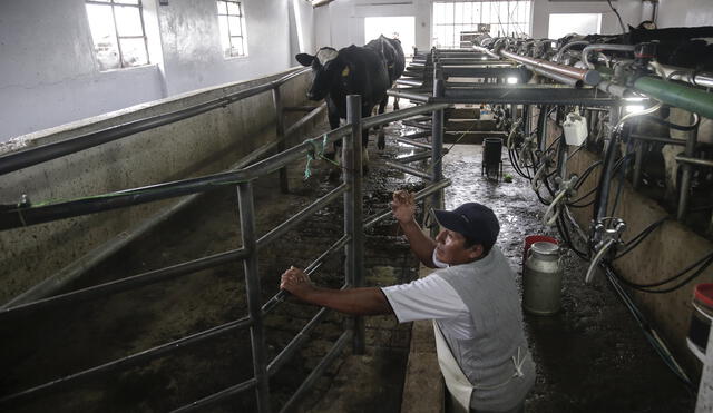 PERJUICIO ECONÓMICO. Según el gremio que agrupa a los lecheros, el 80% de los 6.000 que hay en la región son pequeños productores.
