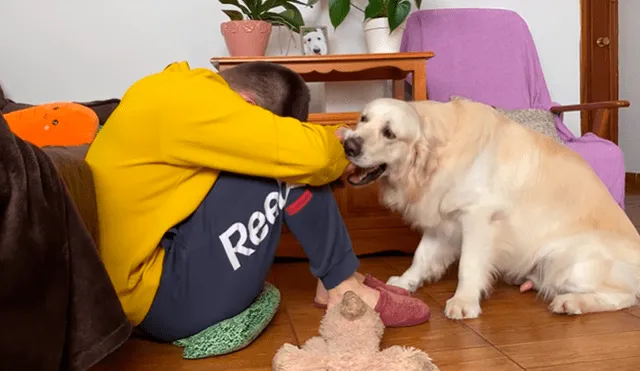 En YouTube se hizo viral la tierna reacción de un perro al notar que su dueño estaba triste.