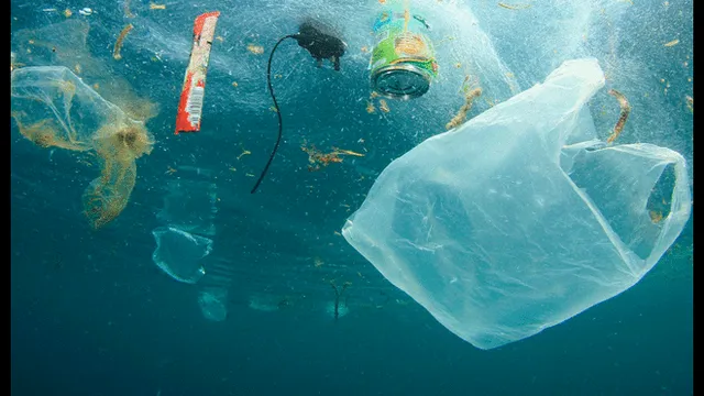 Unión Europea eliminará el uso de productos plásticos a partir de 2021 