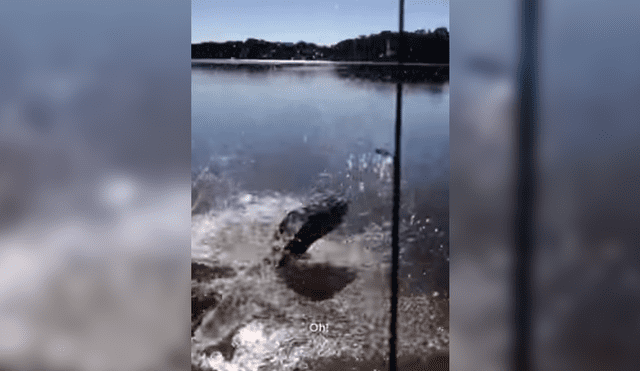 Facebook: se asustó al regresar un pez a lago y ocurre algo espeluznante [VIDEO]