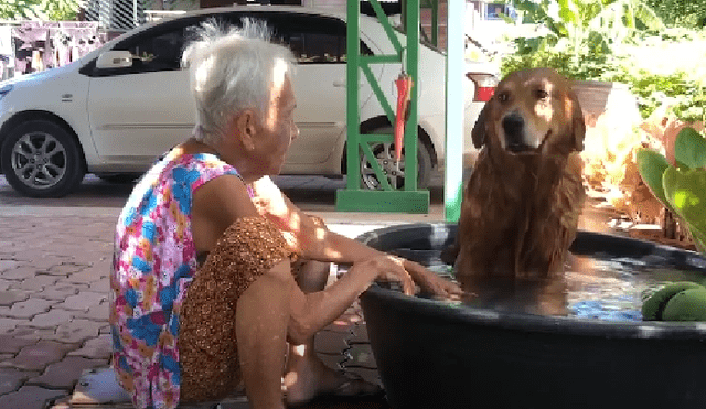 Desliza las imágenes para ver más detalles de esta tierna escena que es viral en YouTube.