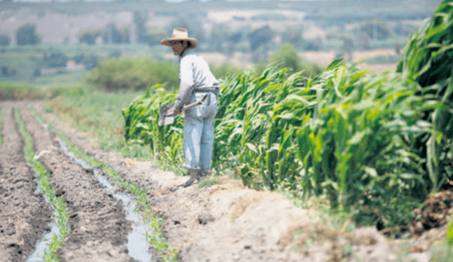 Familias rurales. Es el primer subsidio que el Estado otorgará a favor de la población rural durante el estado de emergencia.