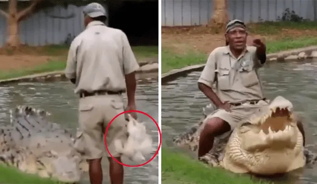 YouTube viral: Hombre se sube encima de cocodrilo para alimentarlo y ocurre algo impensado [VIDEO] 