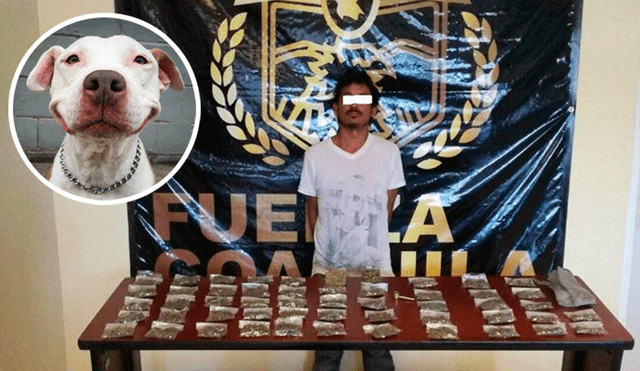 Twitter: Perra policía 'sonríe' tras capturar a un narcotraficante [FOTO]