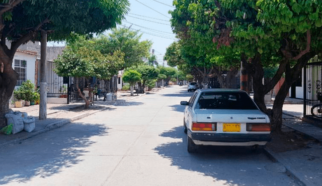 Mujer que sacó a pasear a su perro fue abusada sexualmente. Foto: El Heraldo