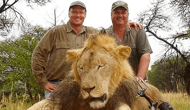 Walter Palmer junto a un león muerto. Foto:  James Breeden