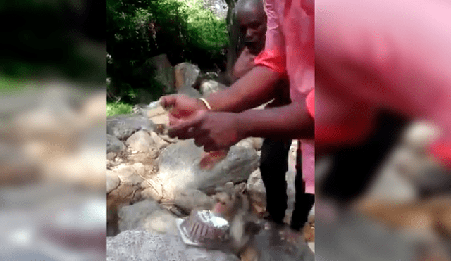 Familiares del joven lo sorprendieron con una torta de cumpleaños, sin imaginar que un travieso mono arruinaría el emotivo momento. El video es viral en Facebook