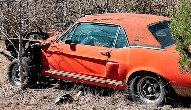 Abandonó su auto durante 20 años sin saber que era una joya automotriz [FOTOS]
