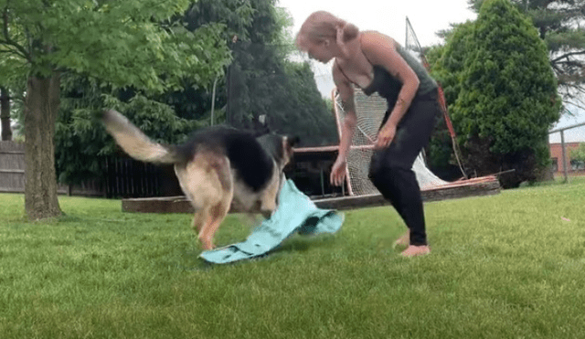 Video es viral en YouTube. El can hizo de todo para llamar la atención de su dueña e impedir que grabe su rutina de yoga. Fotocaptura: YouTube