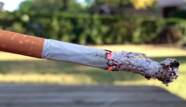 YouTube: El experimento con cigarros que hará que dejes de fumar ahora mismo [VIDEO]