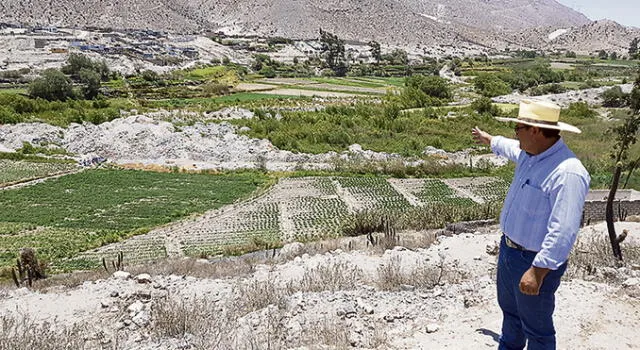 Campiña de Arequipa al borde de extinción por falta de agua