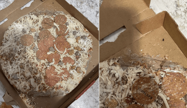 Mujer descubrió que las coberturas de la pizza eran excrementos. Foto: Alysa Potter/Redes Sociales)