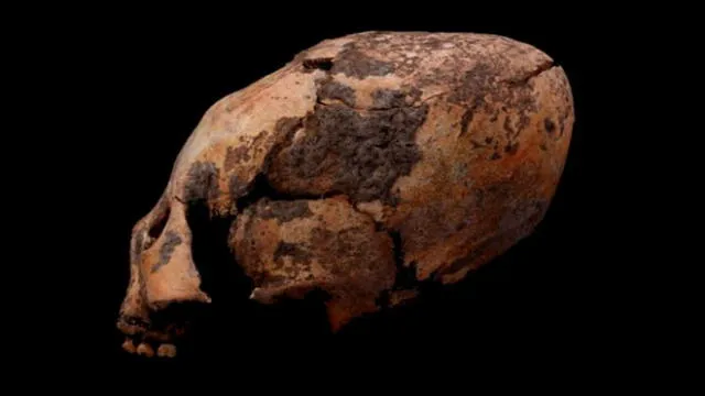 Cráneo modificado hallado en China. Foto: American of Physical Anthropology.
