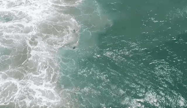 YouTube: captan primer rescate acuático por un dron en Australia [VIDEO]