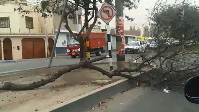 Fuertes vientos causan alarma en población de Tacna y Moquegua [VIDEO] 