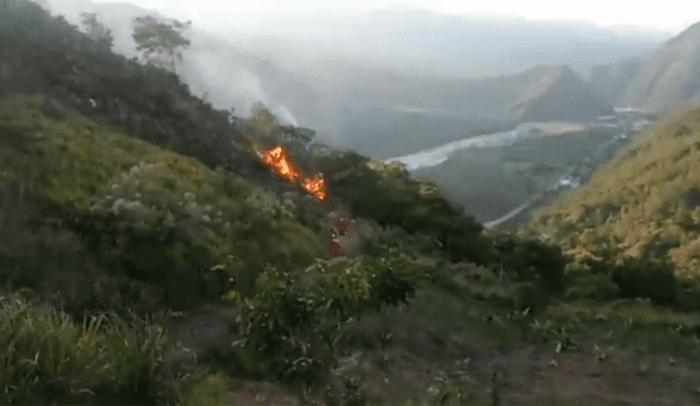 Chanchamayo: Incendio forestal amenaza con extenderse a comunidad nativa [VIDEO]
