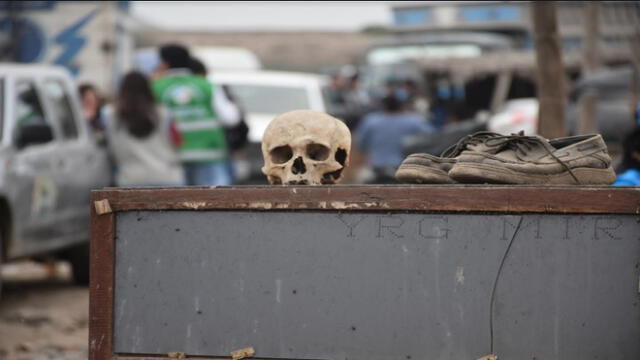 Hallan cráneo humano en chanchería clandestina