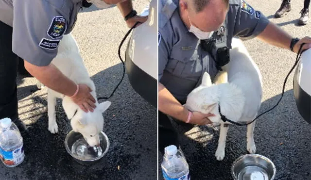 Desliza las imágenes para ver más detalles sobre esta conmovedora escena entre un perro y el policía que lo rescató. (Foto: captura / YouTube)