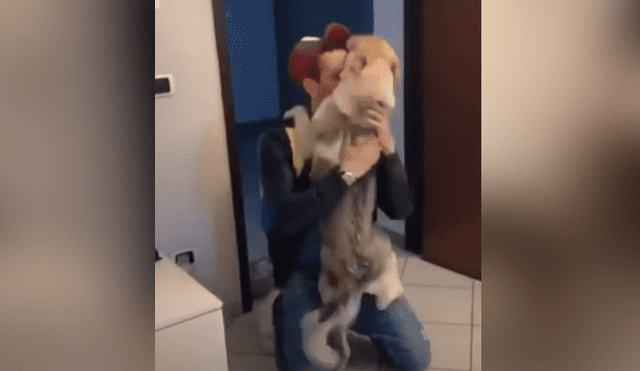 A través de YouTube se hizo viral el tierno reencuentro entre un perro y su dueño.