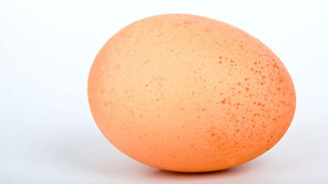 Métodos para identificar si los huevos están buenos o malos para el consumo humano. Foto: web 'Publicdomainpicture'.