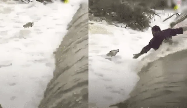 Facebook: El conmovedor rescate de un perro arrastrado por un río [VIDEO]