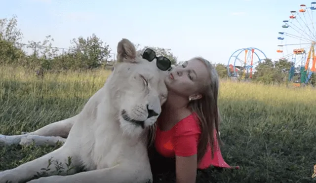 Desliza hacia la izquierda para ver las divertidas fotos que se tomó una mujer junto a la enorme leona en el zoológico y se ha vuelto viral en YouTube.