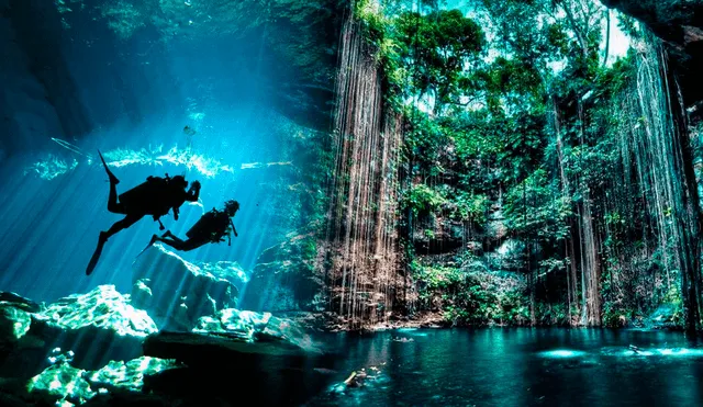 Los cenotes son atractivos turísticos de México. Foto: composición LR/TodoCenotes/JourneySports