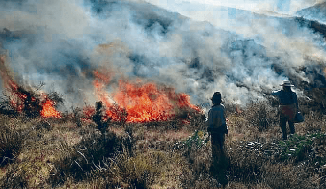 Incendios forestales