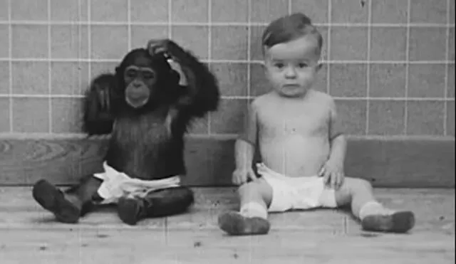 La chimpancé Gua y el bebe Donald fueron criados como hermanos en un experimento de 1931. Foto: captura de Youtube