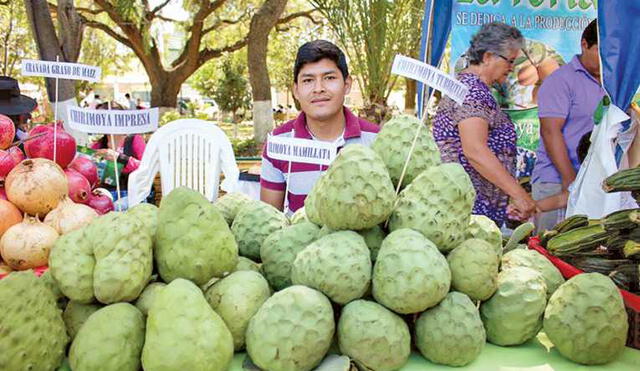 Región Lima: Aprueban plan para promover la exportación de la chirimoya, cítricos y berries