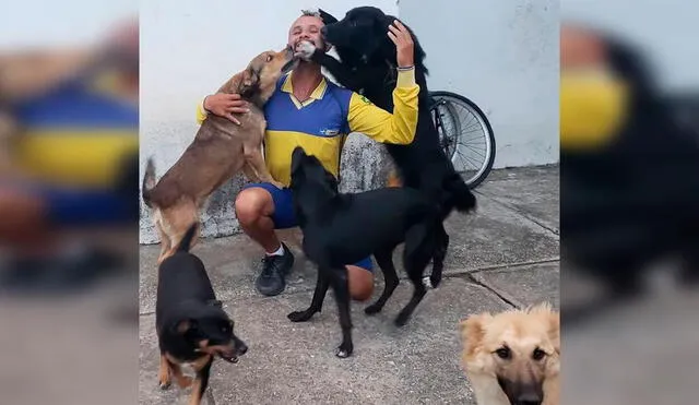 Desliza las imágenes para conocer la historia de un cartero quien ayuda a perros y gatos que viven en la calle. Foto: Instagram