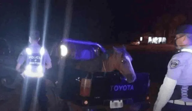 El ciudadano de 66 años en estado de ebriedad terminó detenido por trasladar a su caballo durante la cuarentena. Foto: TN