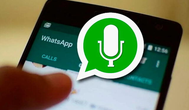 No necesitas una app de terceros para aplicar este truco de WhatsApp. 
Foto: AdslZone