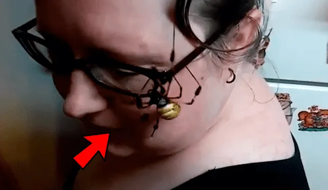 Facebook viral: retan para que joven coloque peligrosa araña en su rostro y sucede lo inesperado [VIDEO]