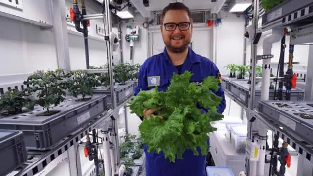 Los Científicos cosecharon vegetales en la misma Antártida