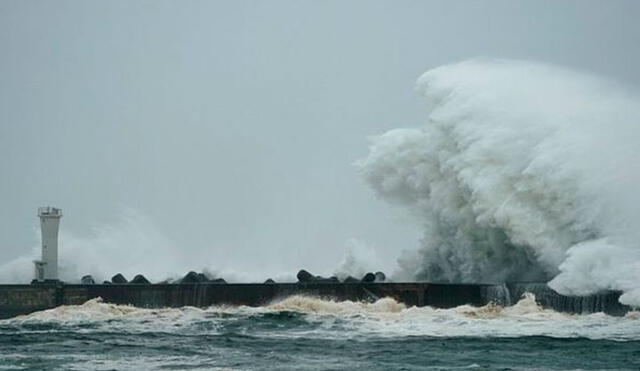 El tifón Hagibis llegó a la costa con olas con enormes olas y vientos de hasta 225 kilómetros por hora. Foto: EPA.