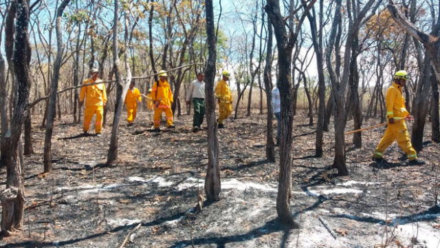 Tumbes: guardaparques controlaron incendio forestal en reserva nacional