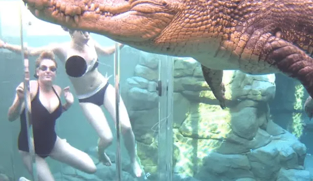 YouTube viral: chicas se sumergen en santuario de enorme cocodrilo y quedan horrorizadas 