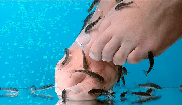 Mujer perdió los dedos del pie por infección tras pedicura de peces [VIDEO] 