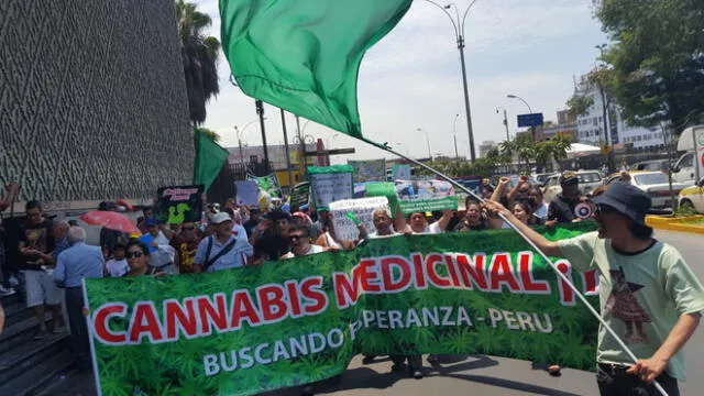 Marihuana Medicinal: Realizan marcha este sábado para que se legalice su uso
