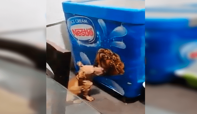 En Facebook, una chica quedó sorprendido al encontrar a su perro lamiendo una imagen de helado que estaba en su casa.