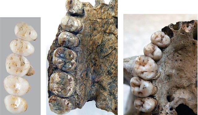 Descubren restos del ‘Homo luzonensis’, nueva especie humana que obliga a replantear la evolución