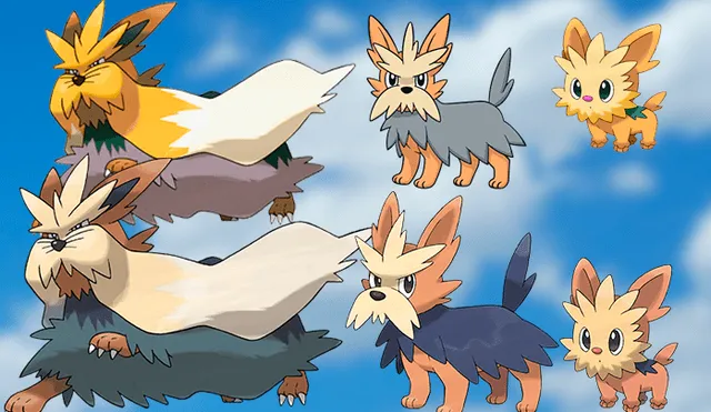 Lillpup aparecerá de manera salvaje, incursiones y modo salvaje en Pokémon GO, con opción de shiny.