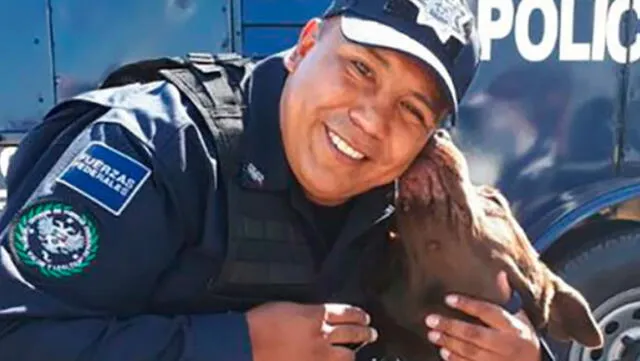 México: perro policía se ‘jubila’ y recibe emotiva despedida de su compañero [VIDEO]