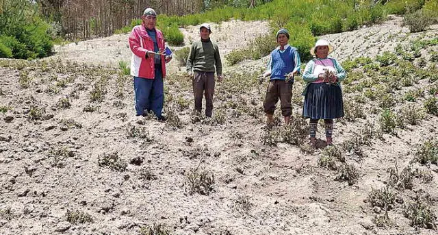 SEQUÍA. Hasta finales de noviembre no hubo lluvias en las provincias del Cusco, lo que dañó los primeros cultivos