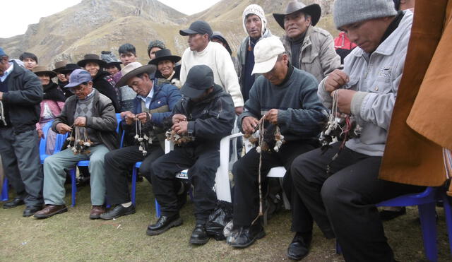 Huancavelica: Realizan feria vicuñera por aniversario de la comunidad de Tansiri