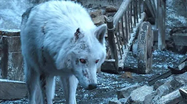¿Es Game of Thrones responsable del abandono masivo de perros Huskies en el Reino Unido?