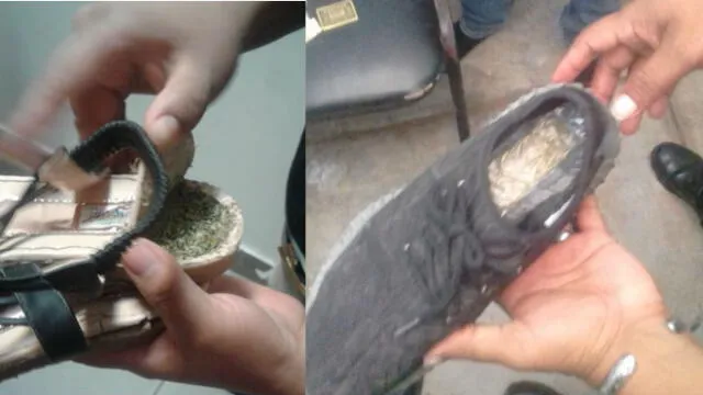 INPE: Visitantes intentan ingresar marihuana en planta de sandalias