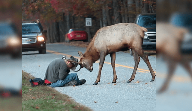 Vía Facebook. La actitud del hombre tras recibir el furioso ataque del animal dejó a más de uno con la boca abierta