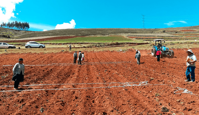 Huancavelica es la primera “región orgánica” del Perú